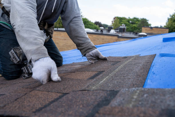 Best Residential Roofing Contractor  in Madison Heights, VA