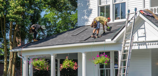 Best Roof Waterproofing Services  in Madison Heights, VA