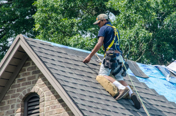 Trusted Madison Heights, VA Roofing Contractor Experts