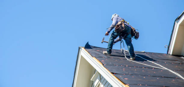 Best Roof Restoration Services  in Madison Heights, VA